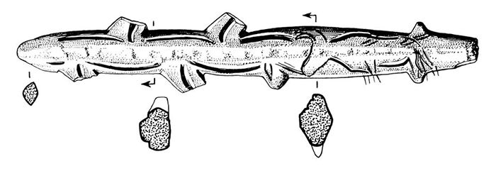 magdalenian  engraving aurochs