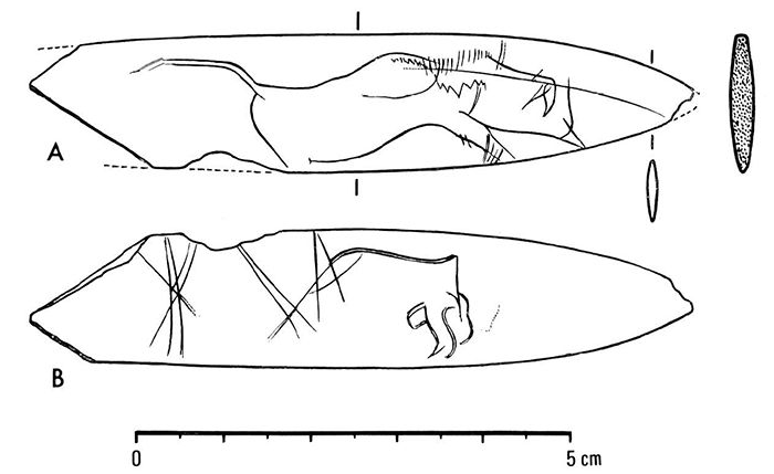 magdalenian  engraving bison