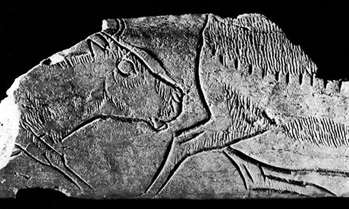 magdalenian  engraving reindeer