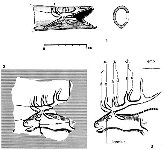 magdalenian  engraving reindeer