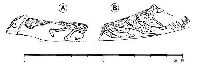 magdalenian  engraving reindeer