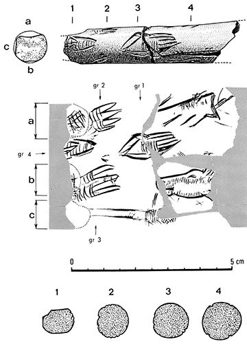 magdalenian  engraving 