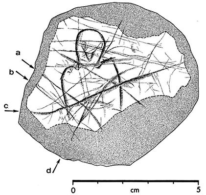 magdalenian  engraving owl