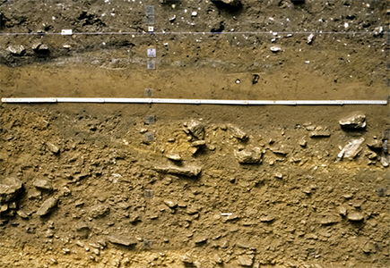 Abri La Souquette coupe