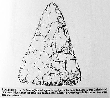 hand axe biface