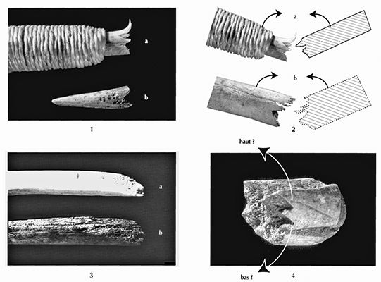 Fig 21