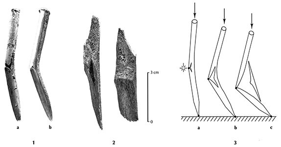 Fig 22