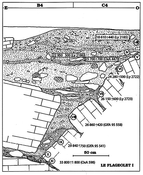 Flageolet section