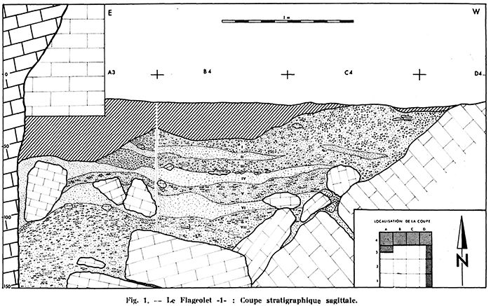 Flageolet section