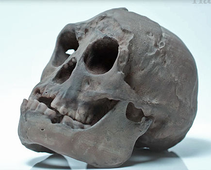 hobbit skull