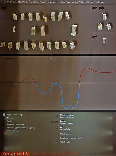 La Micoque bone industry layer 1