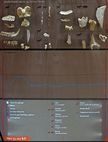 Combe Grenal  bones 