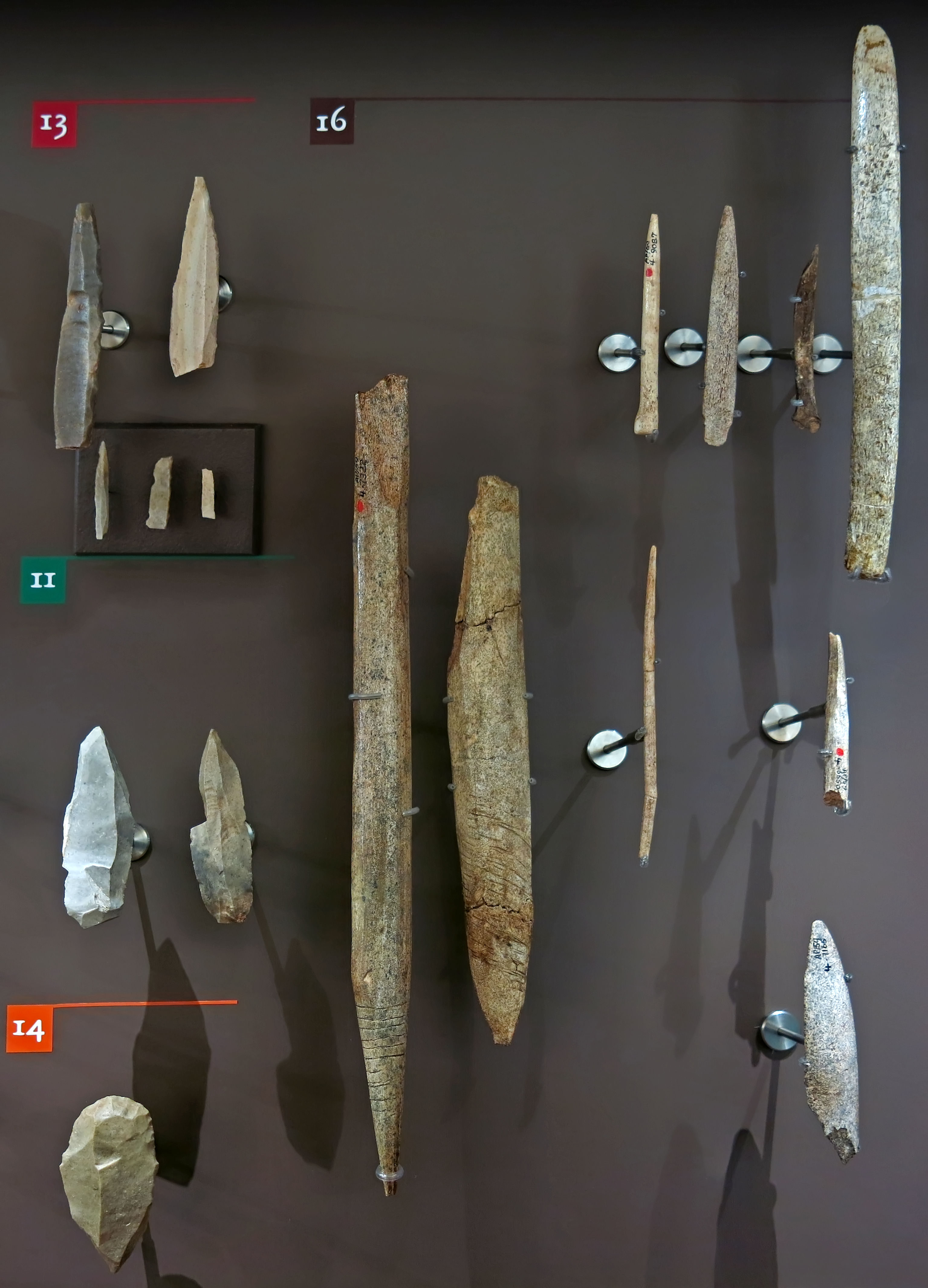 Abri Pataud Tools