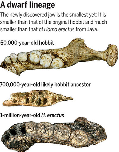 hobbit jaw