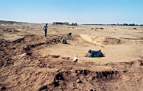 hierakonpolis predynastic dig