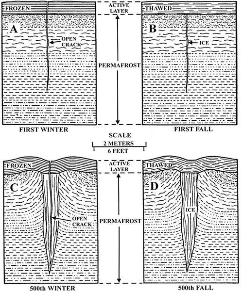 ice wedge