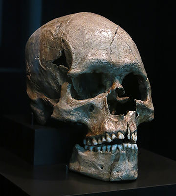 Homo Aurignaciensis Hauseri