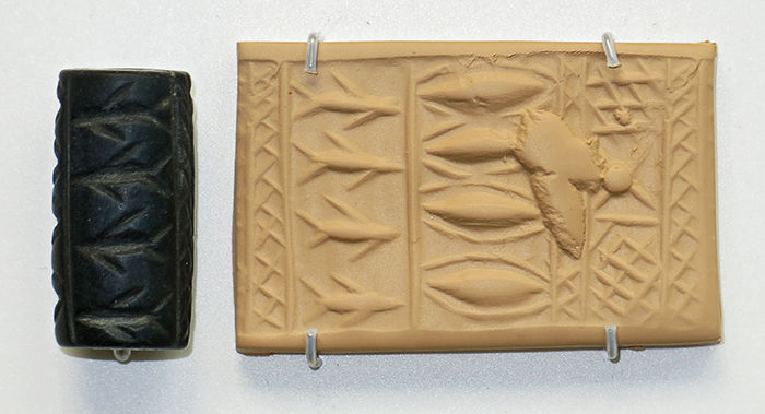 Cylinder seals