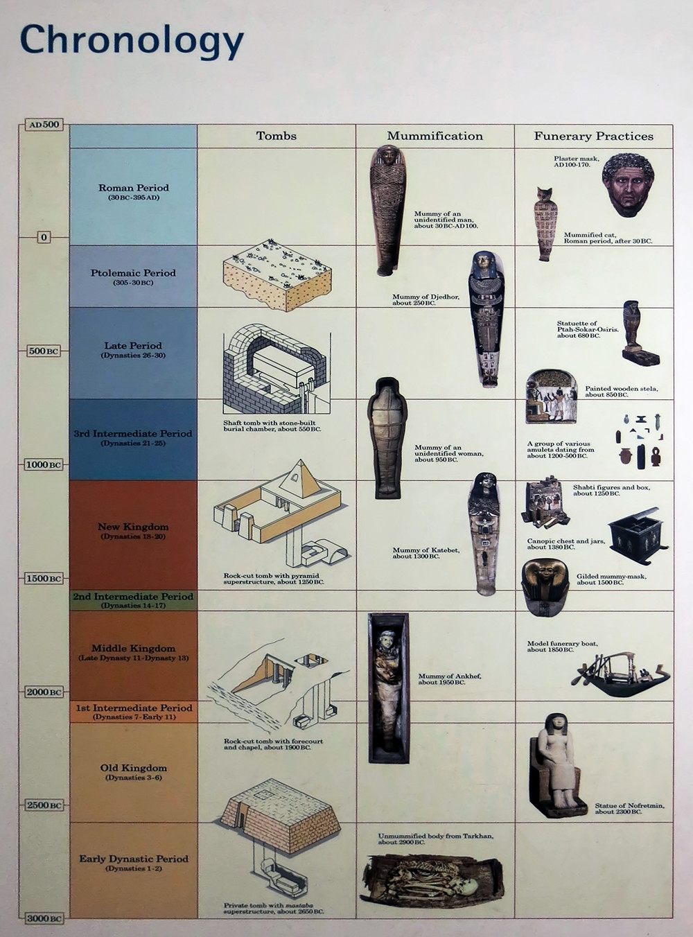 Timeline