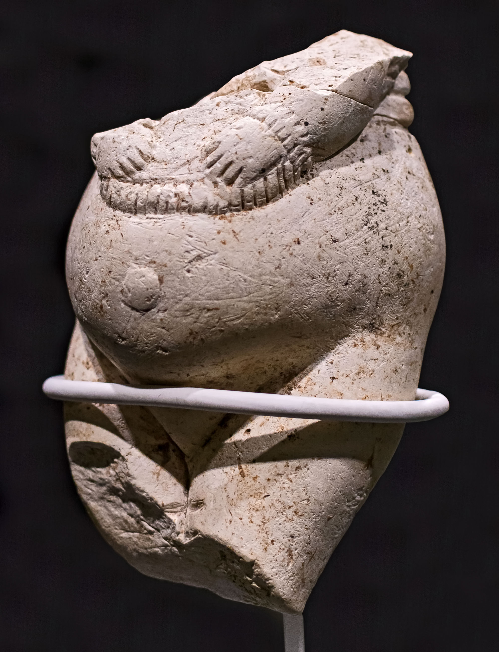 Palaeolithic Venus Figures Their Purpose