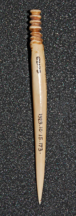 Badarian needle