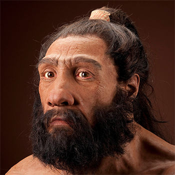 shanidar reconstruction