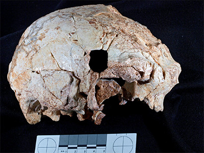 Gruta skull