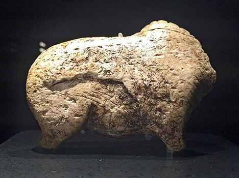 bison