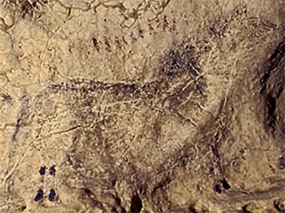 chamber of felines, Lascaux