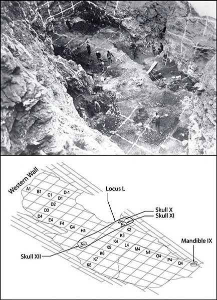 Homo erectus site