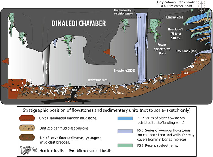Dinaledi chamber