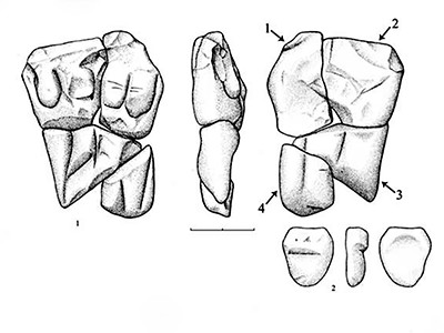 Khotylevo 2 venus figure