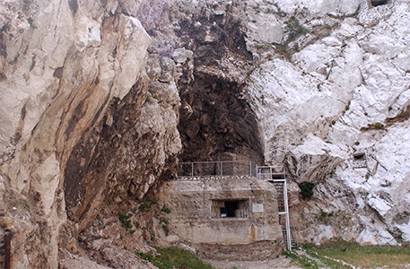 The original Neanderthal skeleton from the Neander Valley