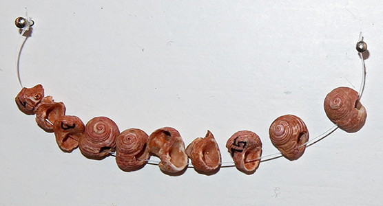 Gonnersdorf necklace  shells