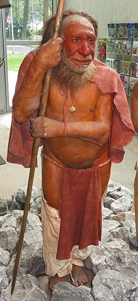 neandertal