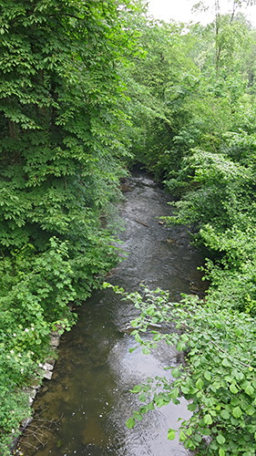 Neander river