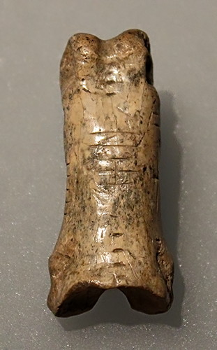 Yeliseevichi bear bone