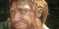 Spy Neanderthal