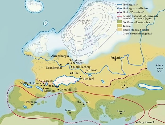 ice age map vegetation europe