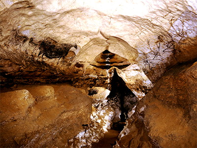 Nave, Lascaux