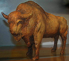 Bison