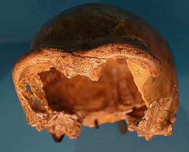 Spy skull 