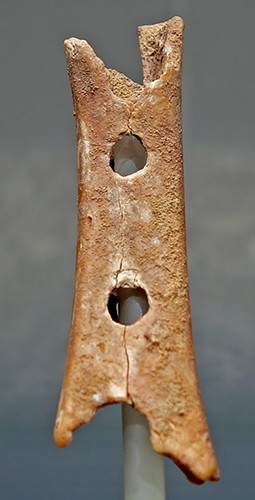 flute