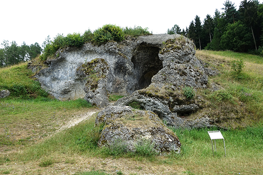 Petersfels site