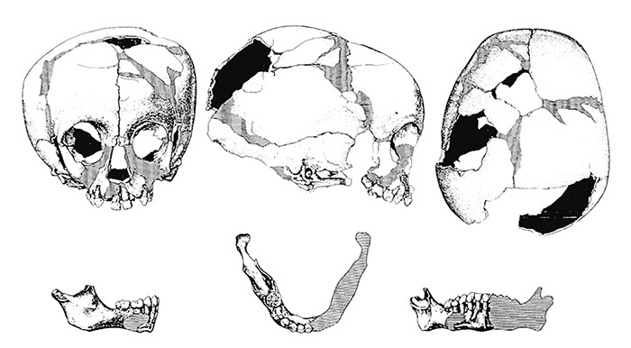 skull drawing