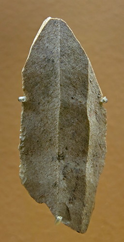 Aurignacian artefacts