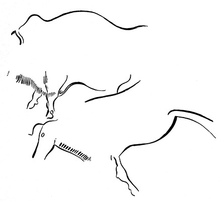 Bison and aurochs