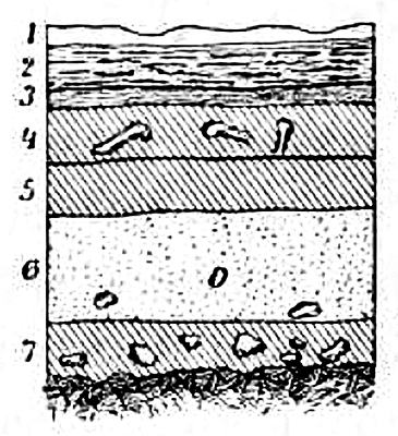 Gudenushöhle layers