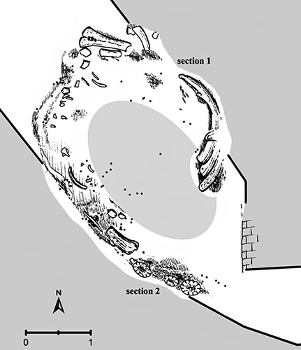 milovice iv site  