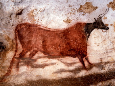 Red cow, black head, Lascaux